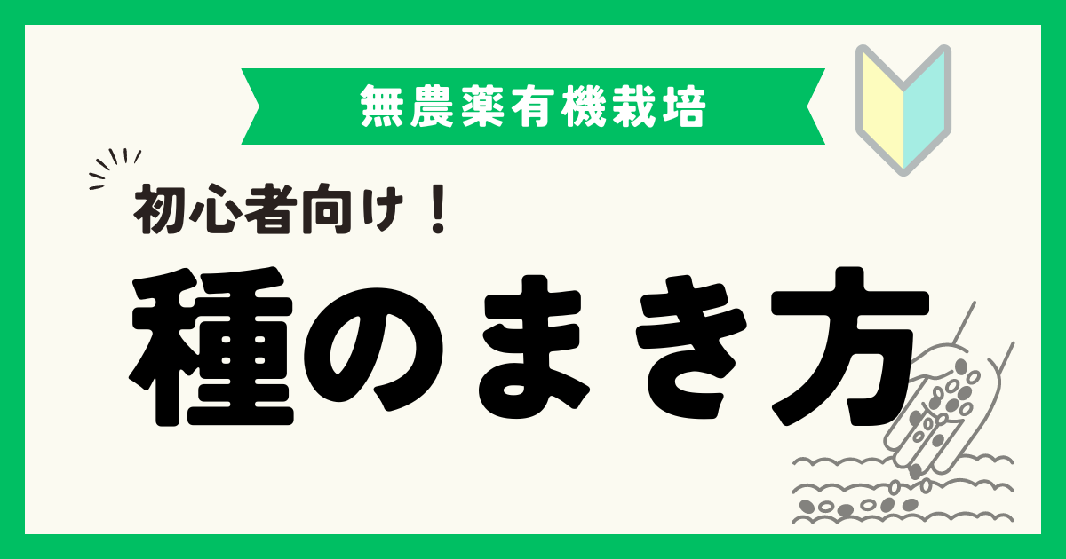 【初心者必見！】野菜の種のまき方と注意点について徹底解説！